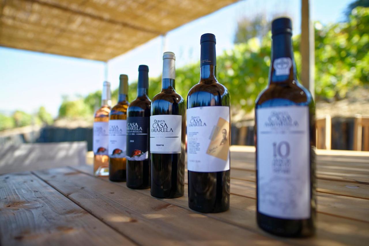 Quinta Da Casa Amarela- Casas Da Quinta - Turismo Em Espaco Rural Lamego Exterior foto